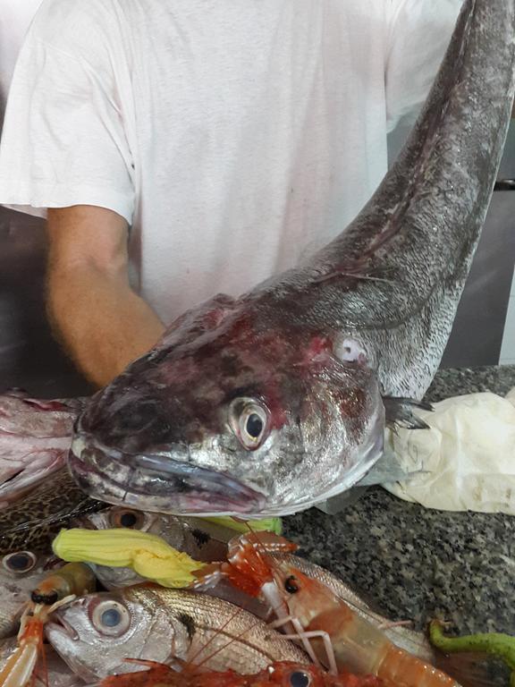 Affittacamere Sandomenico Marina di Camerota Luaran gambar